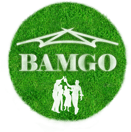 BAMGO GesmbH - Logo